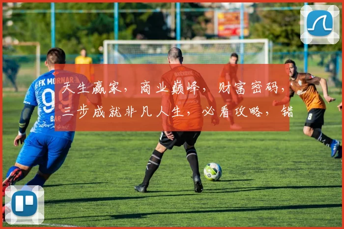 天生赢家，商业巅峰，财富密码，三步成就非凡人生，必看攻略，错过等一年