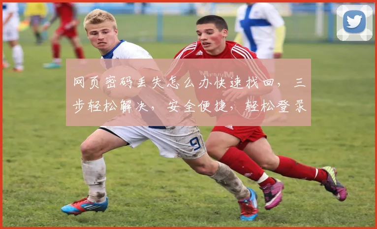 网页密码丢失怎么办快速找回，三步轻松解决，安全便捷，轻松登录